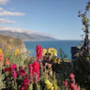 Meet your Posher, Kristen